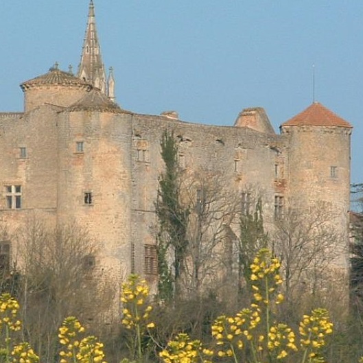 Restauration loi Monuments Historiques à Toulouse 